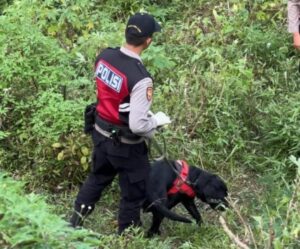 Berkat Anjing Unit K-9 Polda Jatim Indentitas Korban Mutilasi Pacet Berhasil Terungkap