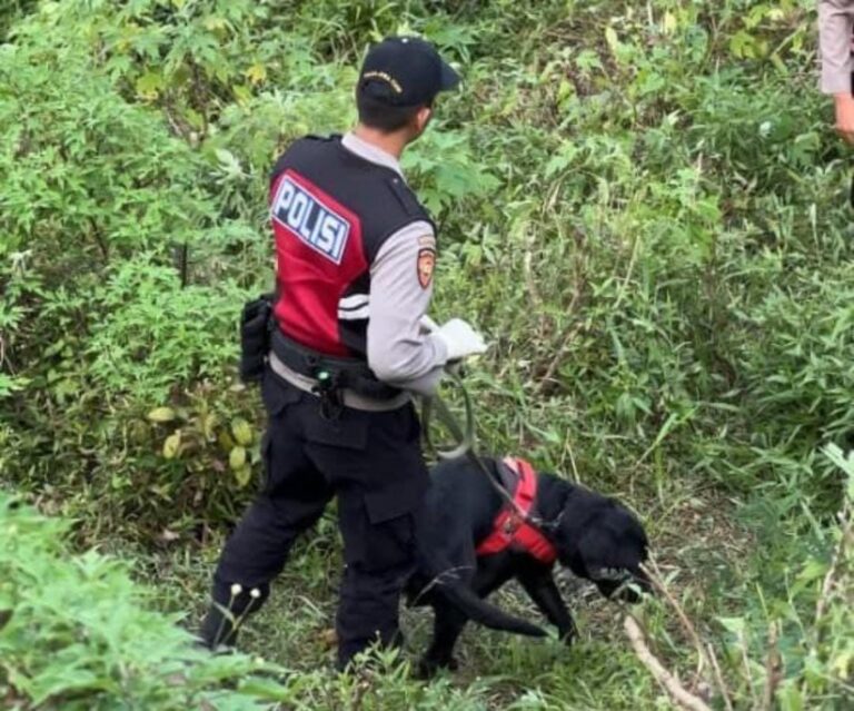Berkat Anjing Unit K-9 Polda Jatim Indentitas Korban Mutilasi Pacet Berhasil Terungkap